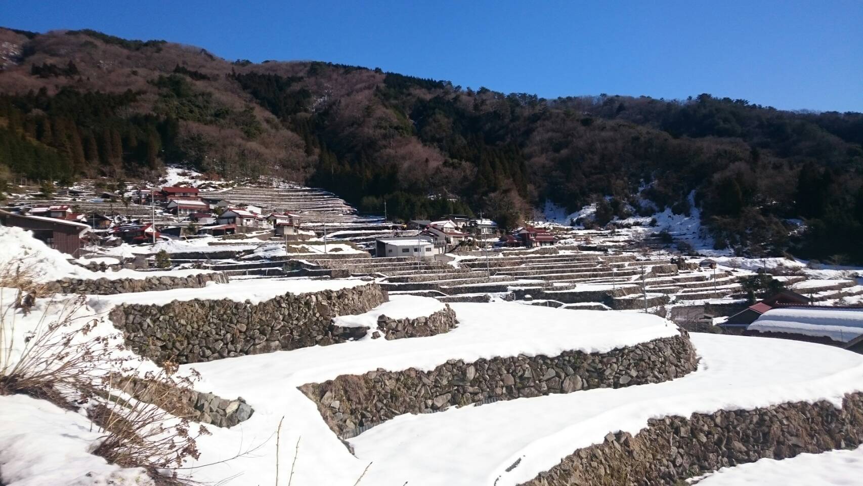 雪化粧