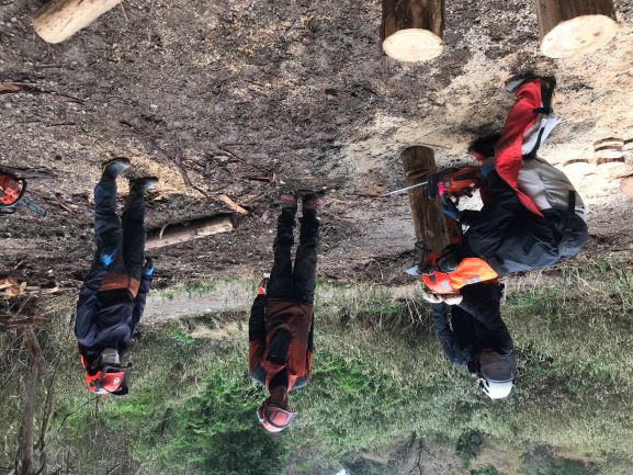 チェーンソー講習